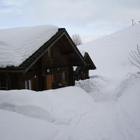 Ferienwohnungen Im Blockhaus Metzler Шварценберґ-ім-Бреґенцервальд Екстер'єр фото