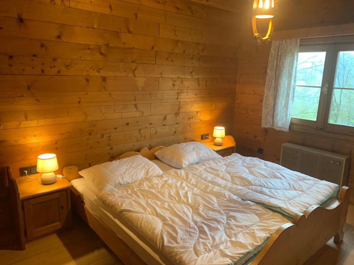 Ferienwohnungen Im Blockhaus Metzler Шварценберґ-ім-Бреґенцервальд Екстер'єр фото