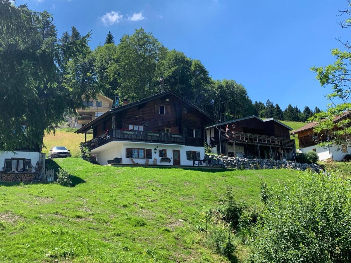Ferienwohnungen Im Blockhaus Metzler Шварценберґ-ім-Бреґенцервальд Екстер'єр фото
