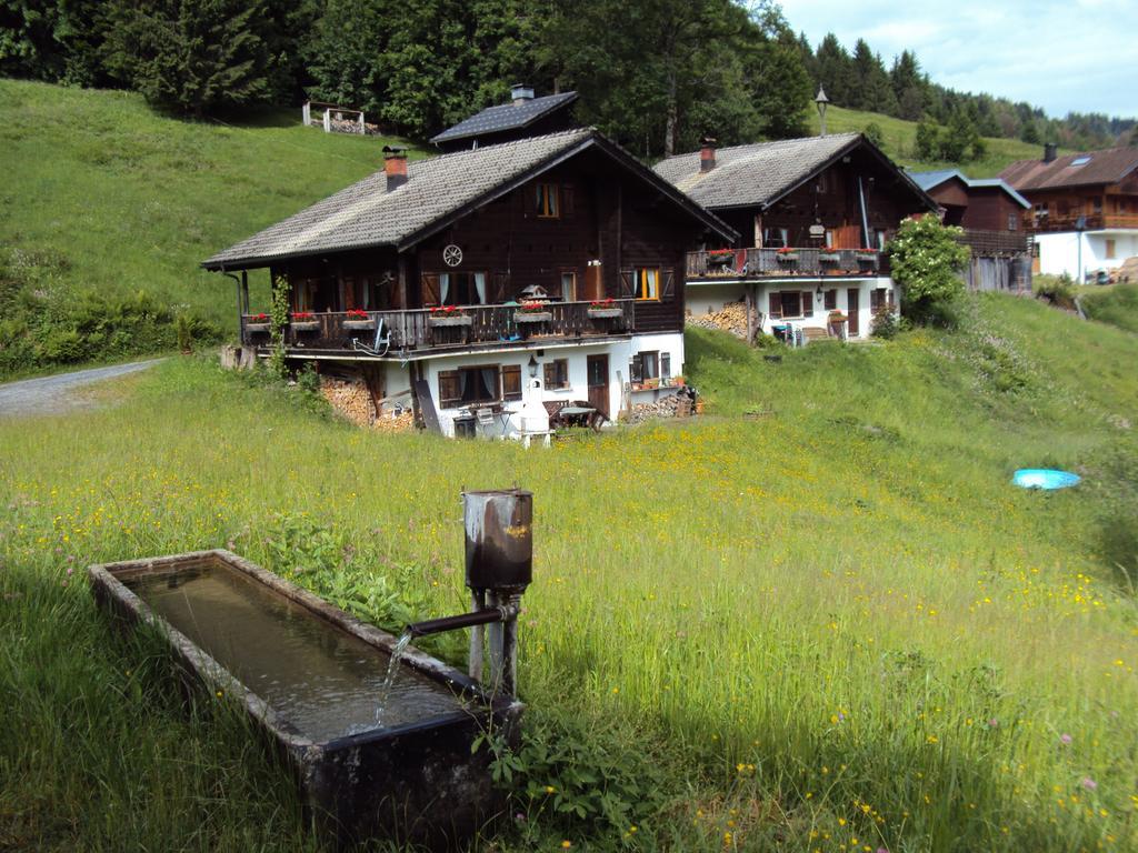 Ferienwohnungen Im Blockhaus Metzler Шварценберґ-ім-Бреґенцервальд Екстер'єр фото