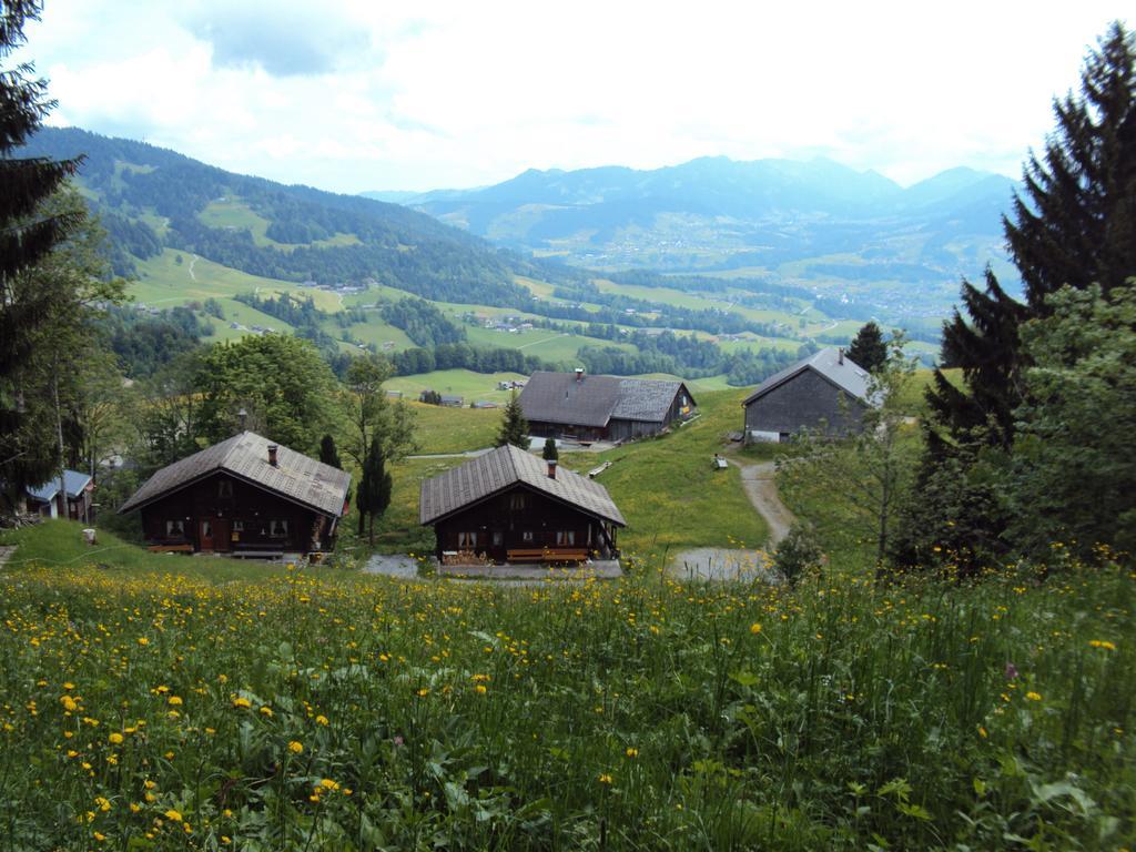 Ferienwohnungen Im Blockhaus Metzler Шварценберґ-ім-Бреґенцервальд Екстер'єр фото