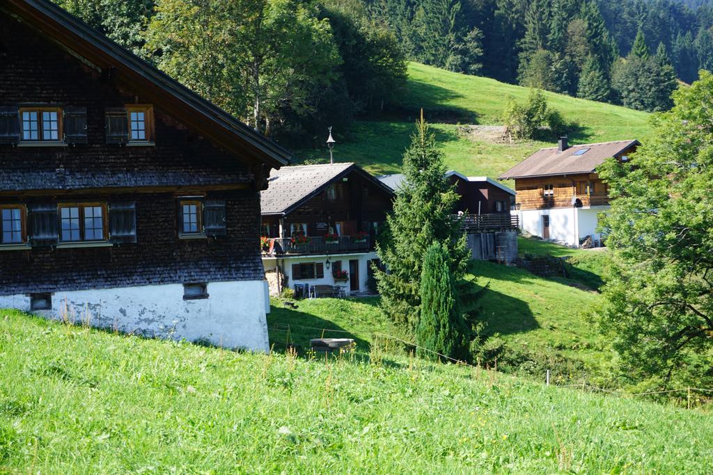 Ferienwohnungen Im Blockhaus Metzler Шварценберґ-ім-Бреґенцервальд Екстер'єр фото